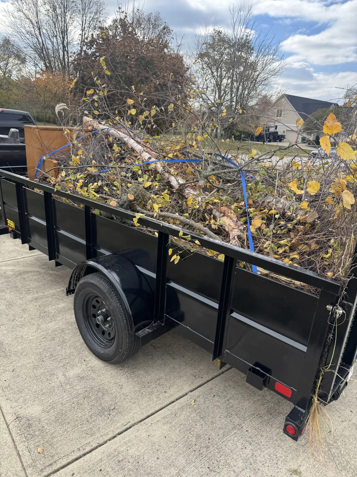 Black utility trailer strapped full of branches with yellow fall leaves, parked on a driveway